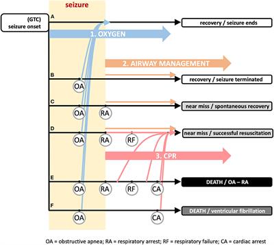 Proposed Mechanism-Based Risk Stratification and Algorithm to Prevent Sudden Death in Epilepsy